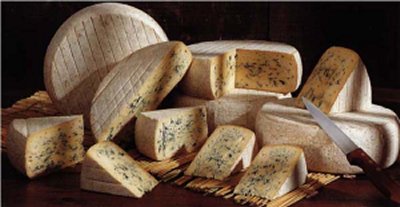 Blue cheese from Sassenage - Bleu de Sassenage