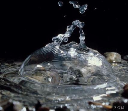 Gouttes d'eau par Françoise et Geneviève MAGNAN