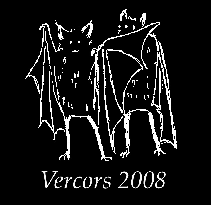 "2 bats on Vercors 2008" drawing  
-- Motif "2 chauve-souris sur Vercors 2008"