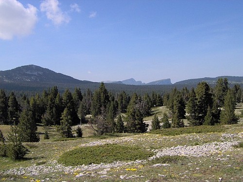 high plateaus -- Hauts plateaux