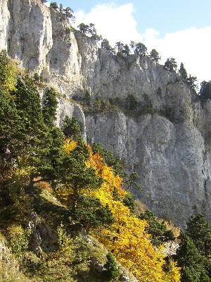 Vercors landscape -- Paysage du Vercors